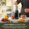 Elite Gourmet EJX600 Mini Compact Small Space-Saving Masticating Slow Juicer Cold Press Juice Extractor, Nutrient and Vitamin Dense, BPA-Free Tritan, Easy to Clean, 16 oz Juice Cup, Charcoal Grey