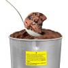 Maxi-Matic EIM-520 Automatic Easy, Homemade Electric Maker, Ingredient Chute, On/Off Switch, No Salt Needed, Creamy Ice Cream, Gelato, Frozen Yogurt, or Sorbet, 1 Quart, Blue(Pine)
